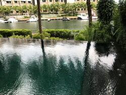 Ocean Drive (D4), Detached #530330351